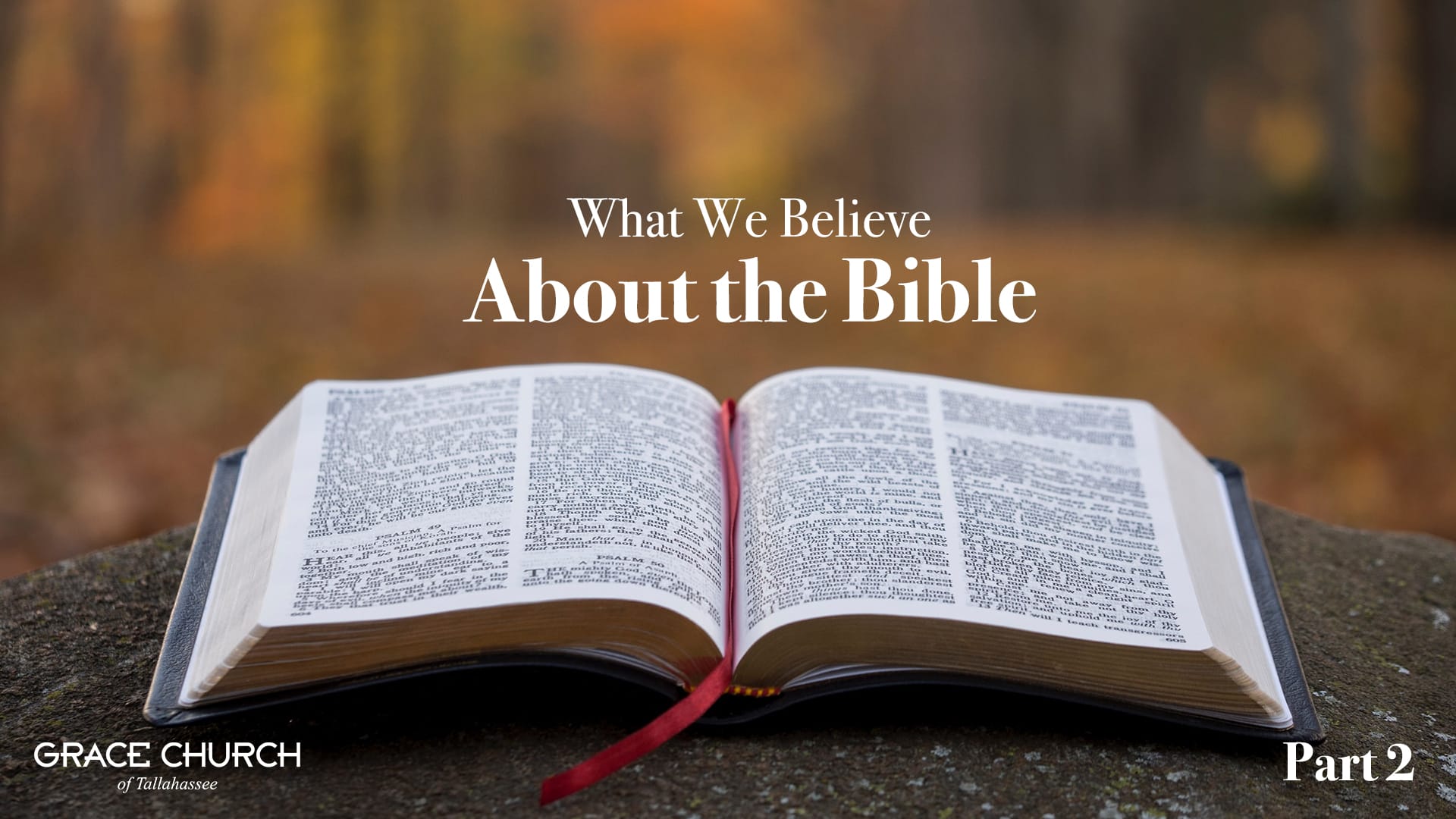 What We Believe About the Bible, Part 2 - Grace Church of Tallahassee